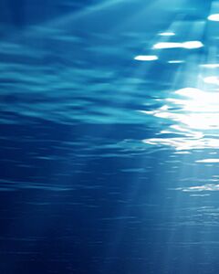 Wasser