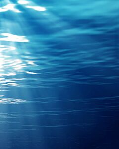 Wasser