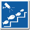 Fischschutz - Muhr Hydro
